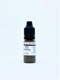 Chocolate Xtreme Ombre 10ml