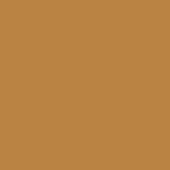 Beige (formerly Areola Beige)